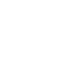 Instagram icon in mauve color
